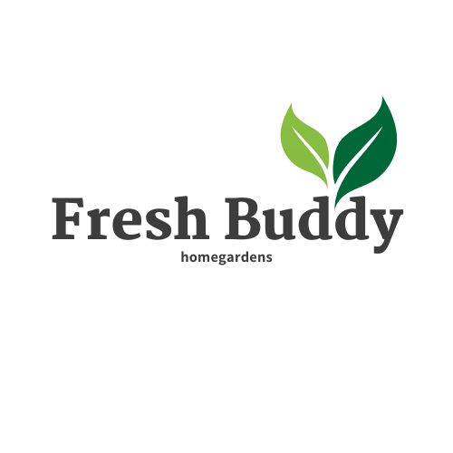 FreshBuddy